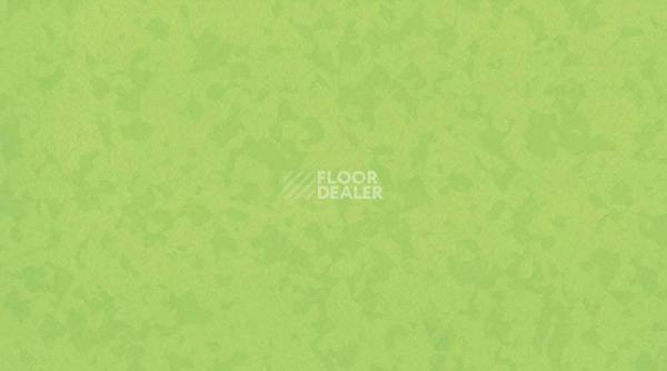 Линолеум Taralay Premium Compact Osmoz 4527 BAMBOO фото 1 | FLOORDEALER